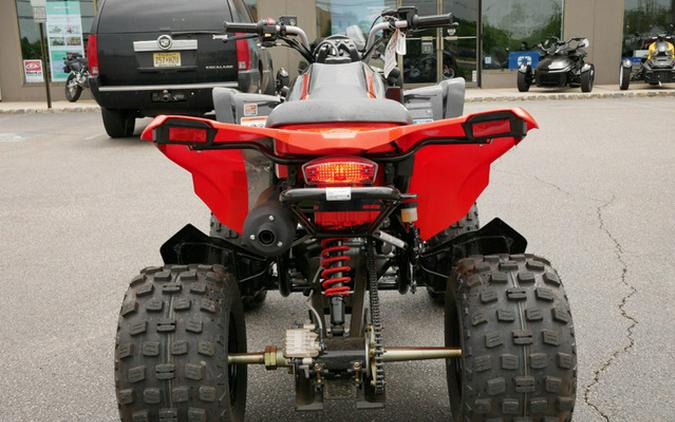 2024 Can-Am DS 250