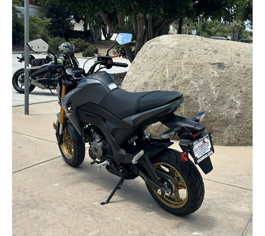 2024 Kawasaki Z125 PRO