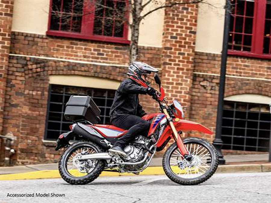 2025 Honda CRF300L ABS