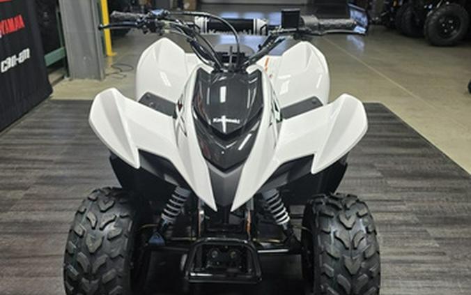 2027 Kawasaki KFX 50