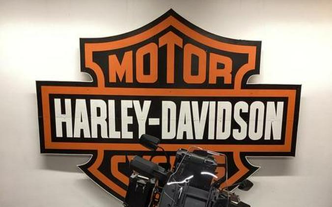 2024 Harley-Davidson® RA1250SE - CVO™ Pan America®