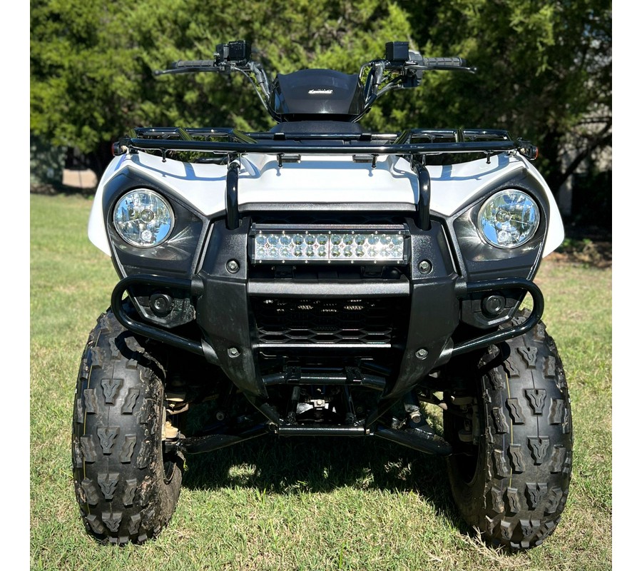 2023 Kawasaki Brute Force 300