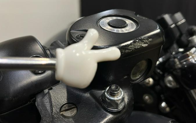 2022 Harley-Davidson Iron 883™