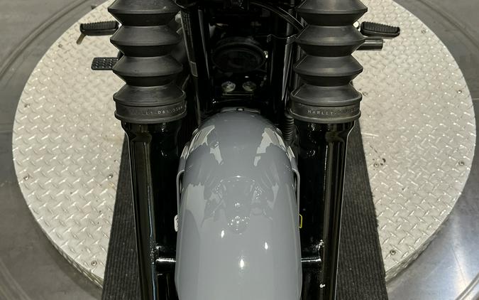 2022 Harley-Davidson Iron 883™
