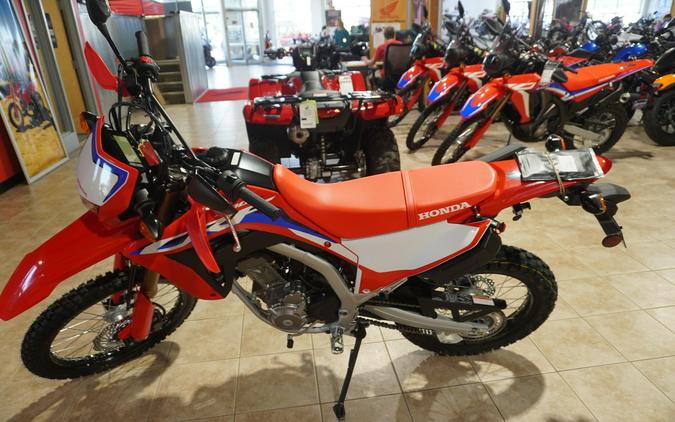 2024 Honda CRF300LAR