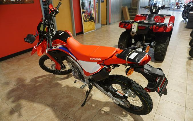 2024 Honda CRF300LAR