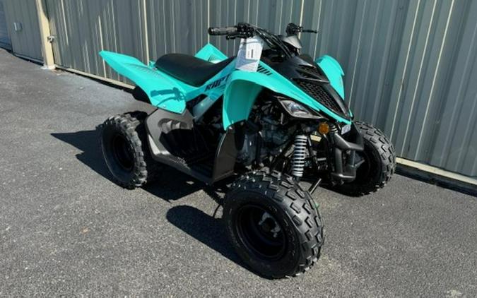 2025 Yamaha Raptor 110