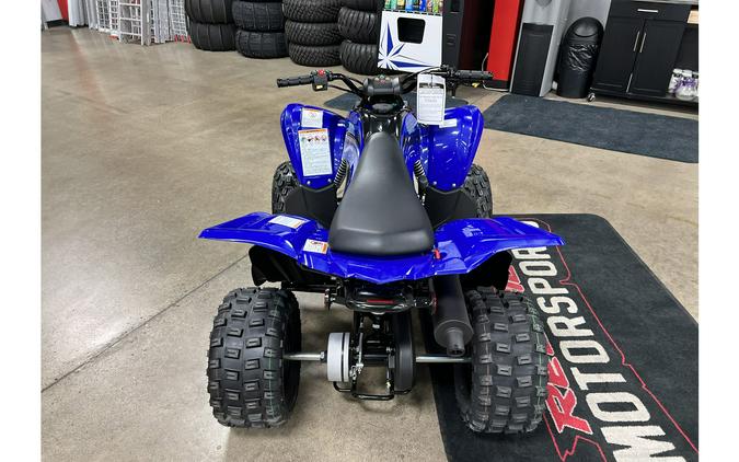 2024 Yamaha Raptor 110 YFI