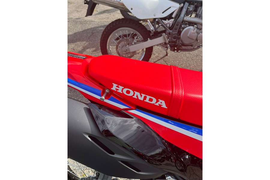 2024 Honda CRF300L Rally