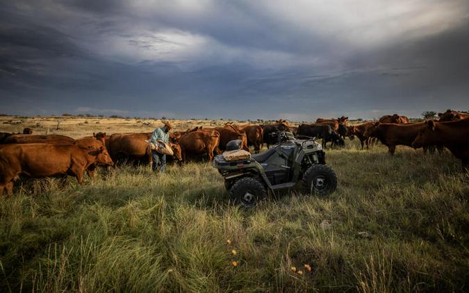 2024 Polaris® Sportsman 450 H.O.