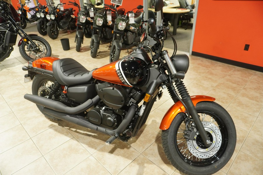 2024 Honda VT750C2BR