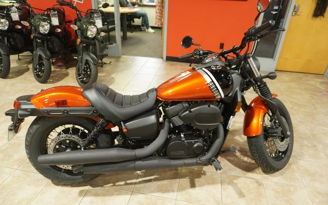 2024 Honda VT750C2BR