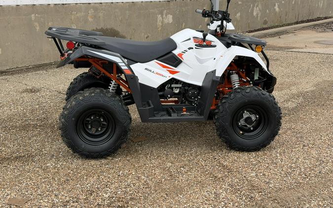 2027 KAYO STORM 300