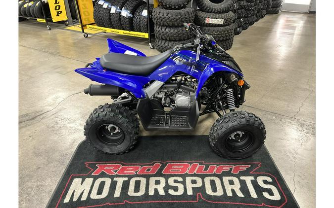 2024 Yamaha Raptor 110 YFI