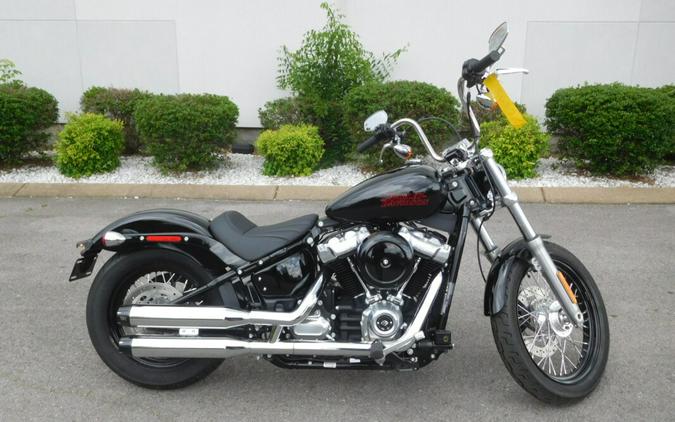 FXST 2023 Softail Standard