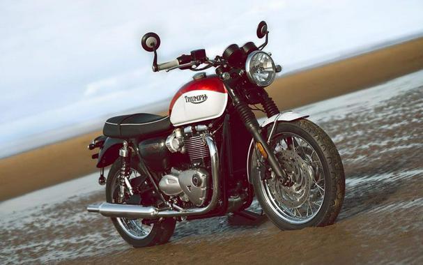 2020 Triumph Bud Ekins T120