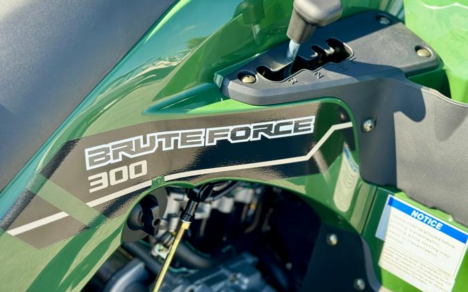 2025 Kawasaki Brute Force 300