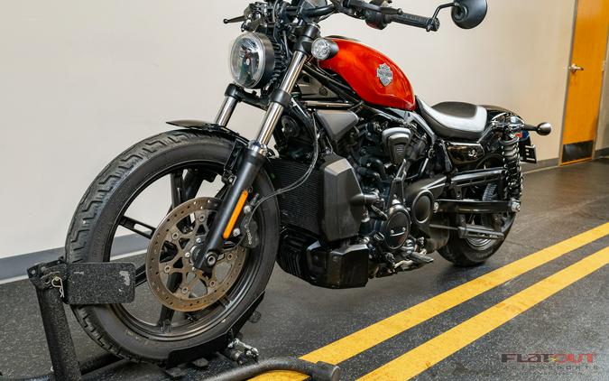 2025 Harley-Davidson® 975 NIGHTSTER
