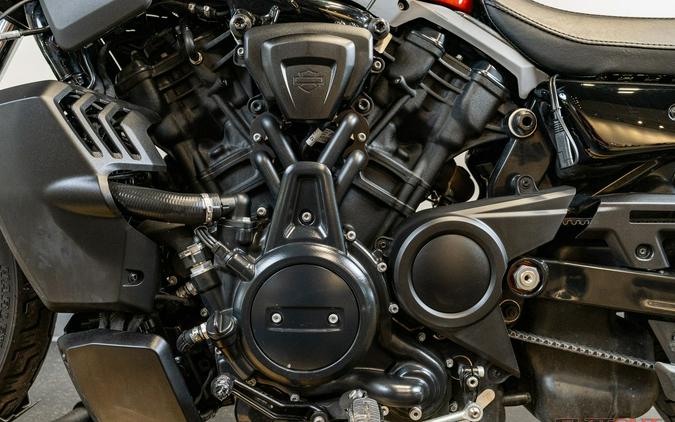 2025 Harley-Davidson® 975 NIGHTSTER