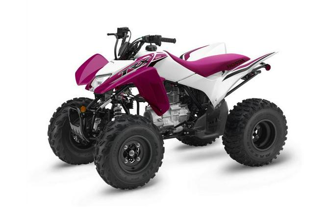 2023 Honda® TRX250X