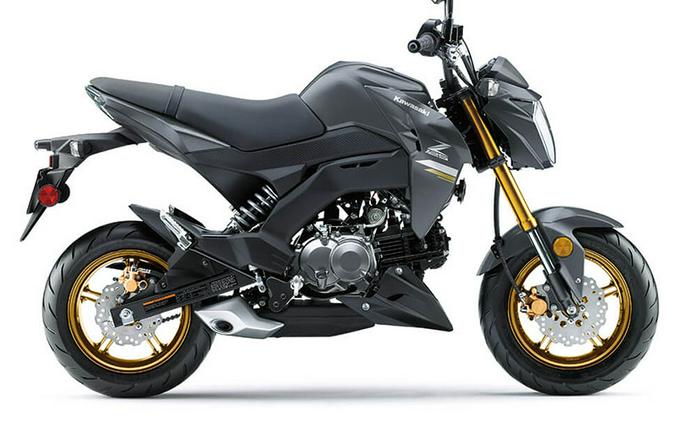 2024 Kawasaki Z125 Pro