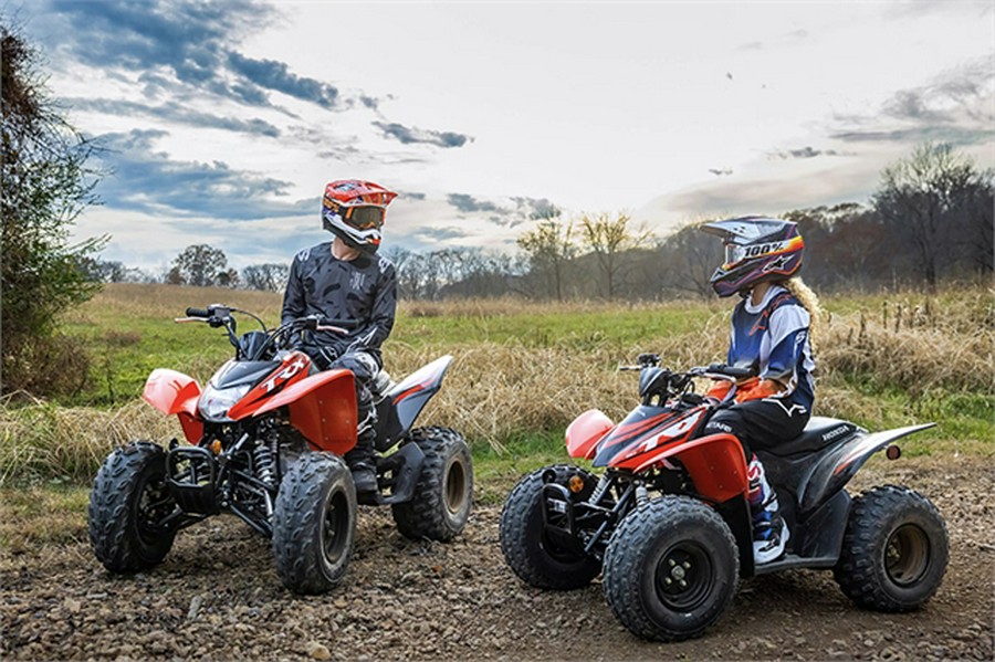 2024 Honda TRX250X