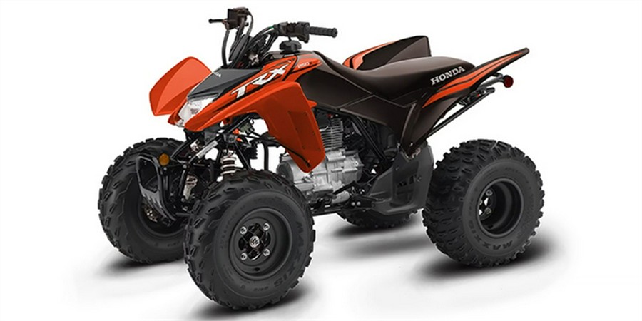 2024 Honda TRX250X