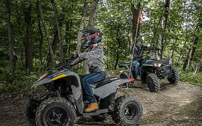 2026 Polaris Phoenix 200