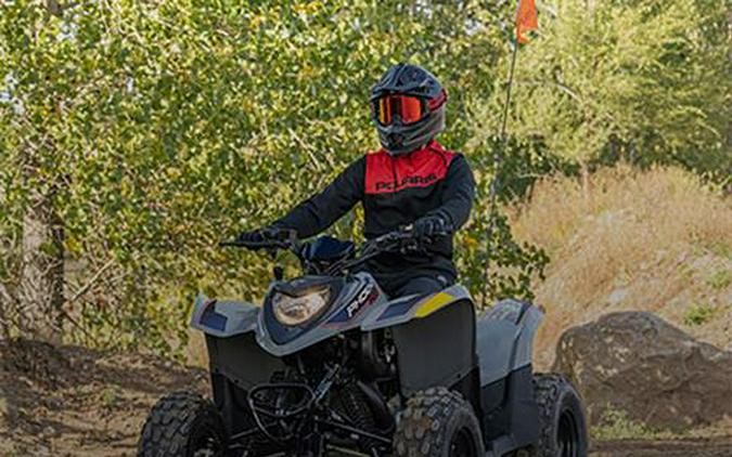 2026 Polaris Phoenix 200