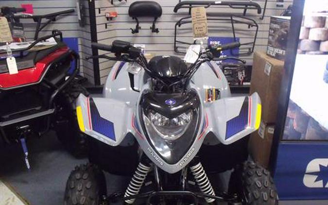 2026 Polaris Phoenix 200