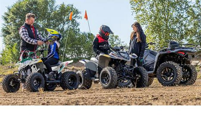 2026 Polaris Phoenix 200