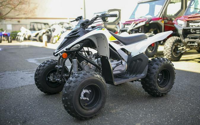2021 Yamaha Raptor 90