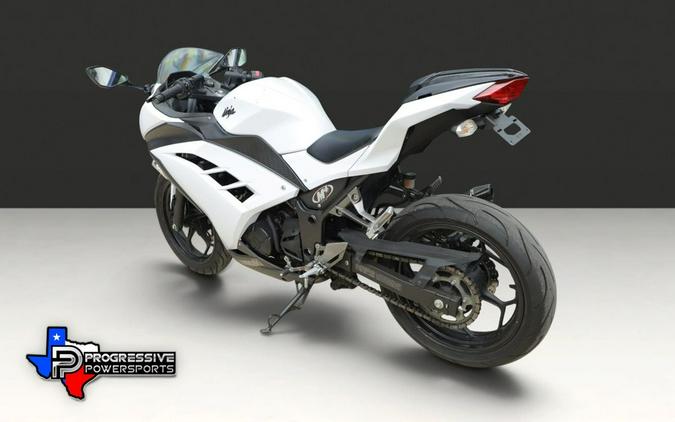2013 Kawasaki Ninja® 300