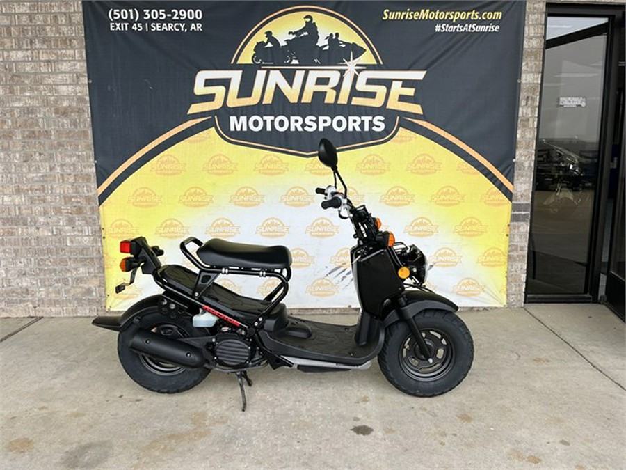 2019 Honda Ruckus Base