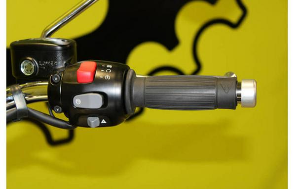 2025 Triumph Bonneville Speedmaster Icon Edition