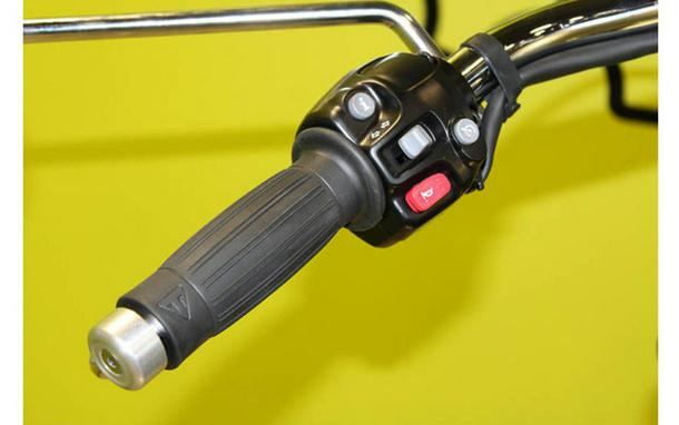 2025 Triumph Bonneville Speedmaster Icon Edition