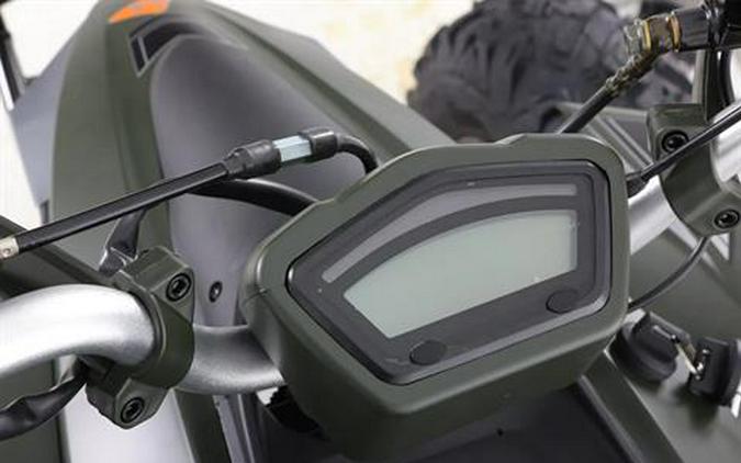 2025 Denago Powersports Daytona 250 FI