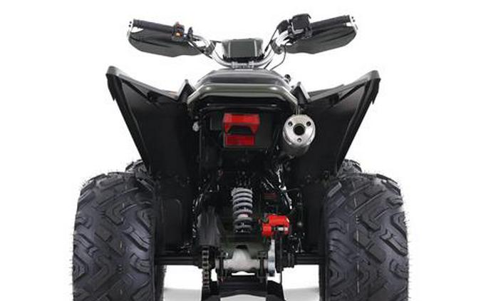 2025 Denago Powersports Daytona 250 FI