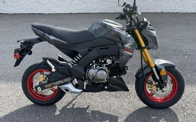 2024 Kawasaki Z125 Pro