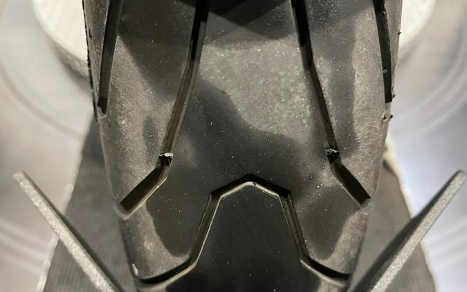 2009 Yamaha Motor Corp., USA FJR 1300A