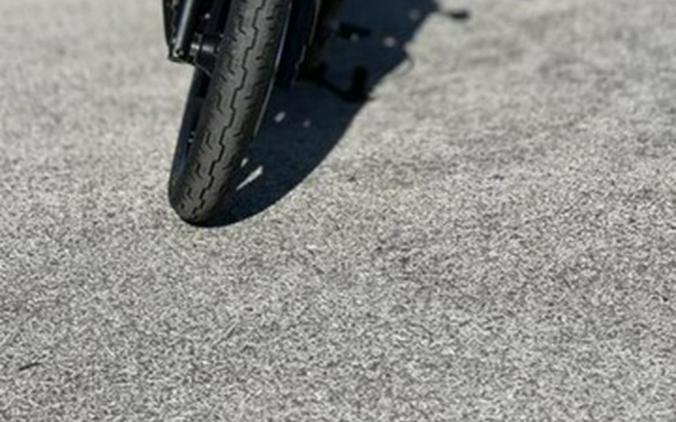 2026 Harley-Davidson Sportster RH975 - Nightster