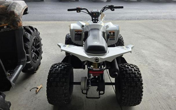 2024 Can-Am® Renegade X xc 110 EFI