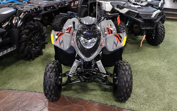 2024 Polaris® Phoenix 200