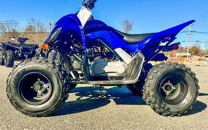 2024 Yamaha Raptor 110