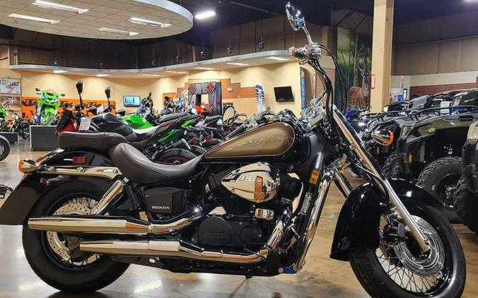 2024 Honda Shadow Aero First Look [Fast Facts]