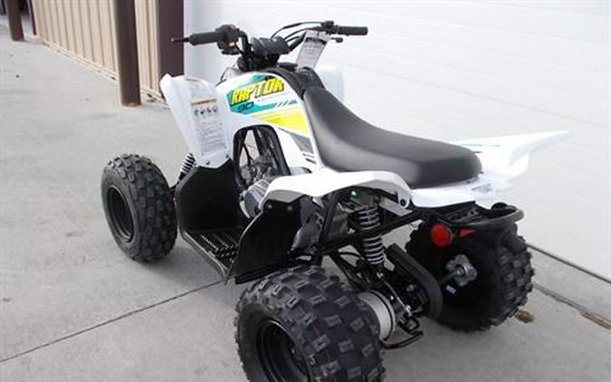 2023 Yamaha Raptor 90