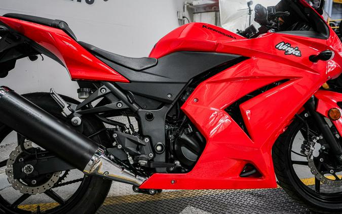 2010 Kawasaki Ninja® 250R