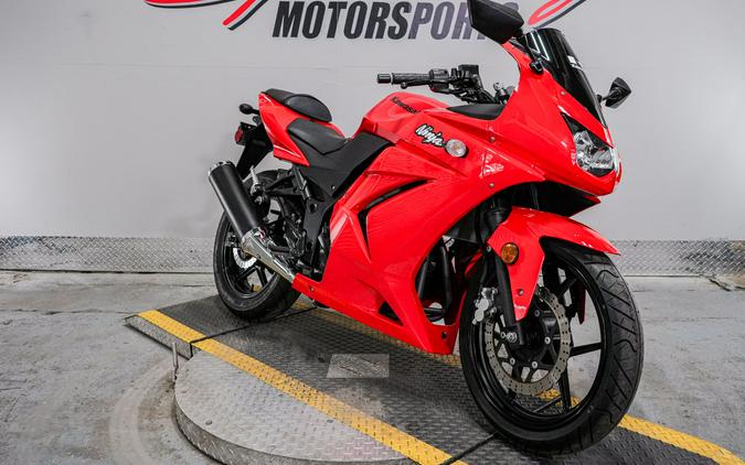 2010 Kawasaki Ninja® 250R