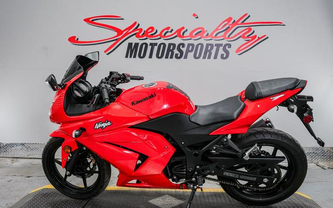 2010 Kawasaki Ninja® 250R