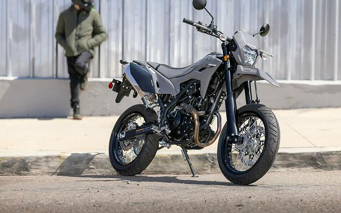 2025 Kawasaki KLX® 230 SM ABS